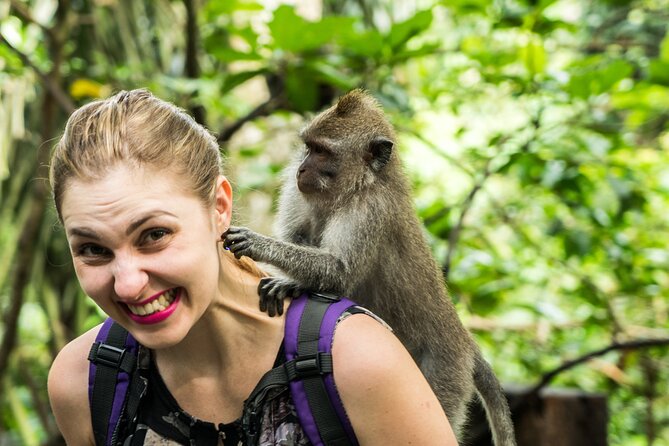 Tanah Lot Tour with Ubud Monkey Forest, Rice Terraces, and Waterfalls - Stop-by-stop: what you’ll actually see and what to watch for