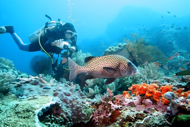 Tanjung Benoa Water Sports: All Inclusive Bali Activities - Snorkeling Gear Included: A Practical Way to See More