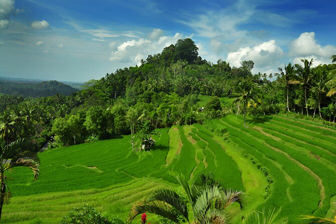 Telaga Waja White Water Rafting and Besakih Temple Tour - Besakih Temple: Bali’s Mother Temple and Why It’s More Than a Stop