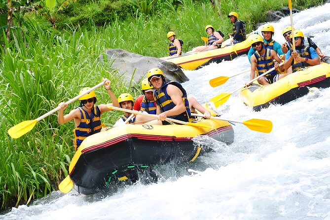 Telaga Waja White Water Rafting and Besakih Temple Tour - Price and Value: Is $80 a Fair Deal for a Full Day?