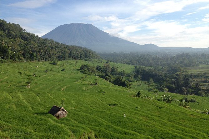 Tenganan Village Rice Field Trekking Tour - Getting to Karangasem from Seminyak: the simple part