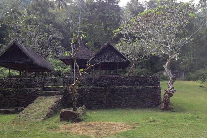 Tenganan Village Rice Field Trekking Tour - Subak and rice terraces: what the guide helps you see