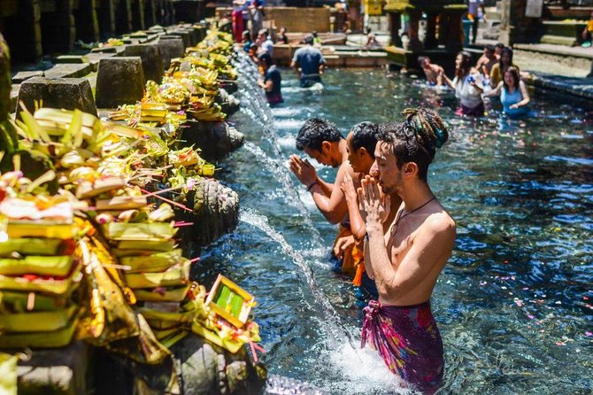 The Best of Ubud Tour and Jungle Swing - Quick Take