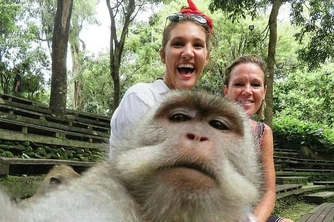 The Best Places to Explore Bali For 2 Days - Day 2: quad-style adventure, lake temple fish-feeding, monkeys, and Pengempu Waterfall