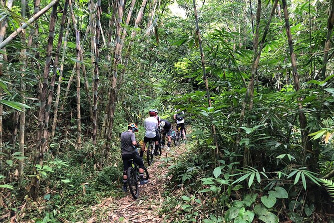 The Volcano Trail - From Seminyak to the volcanic core: how the day gets going