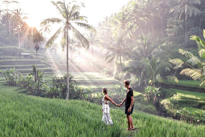 Tlaga Singha Infinity Pool, Jungle swing & Rice Terrace Trip - Stop 2: d’Alas Swing—how to get the most from 45 minutes