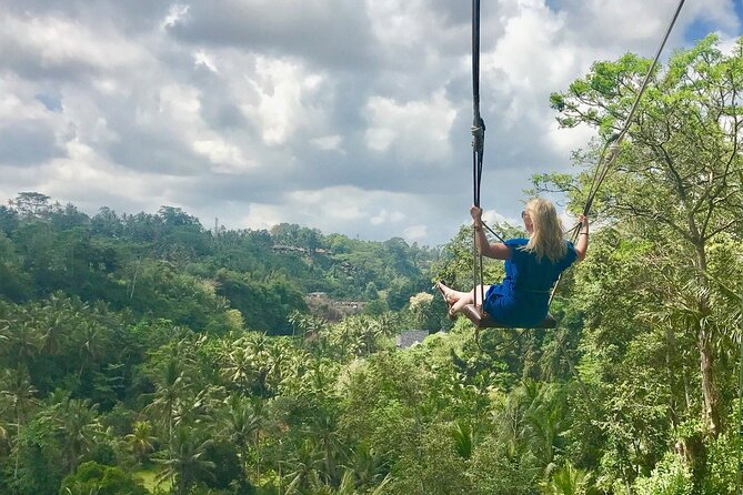 Tlaga Singha Infinity Pool, Jungle swing & Rice Terrace Trip - Price and value: what $59.80 buys you in one full day