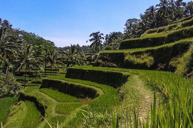 Ubud And Sunset Tanah Lot Tour - A Ubud + Tanah Lot day that stays efficient (10 hours, with built-in time)