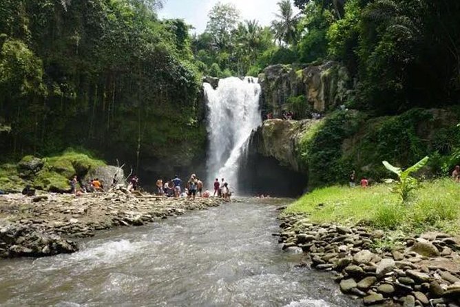 Ubud And Sunset Tanah Lot Tour - Price and value: what you’re really paying for at $43.08 per person