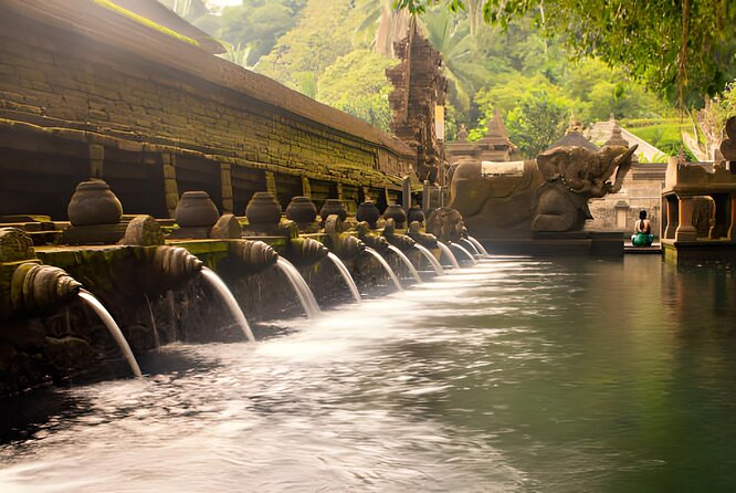Ubud Bali: Rice Terrace, Waterfall and Tirta empul Day Tour - A private Ubud route that keeps the day from feeling chaotic