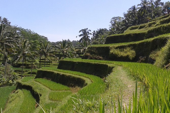 Ubud Cultural Day Tour: A Day for Balinese Cultural Experience - Batuan Temple (Puseh Batuan): carved story on temple walls