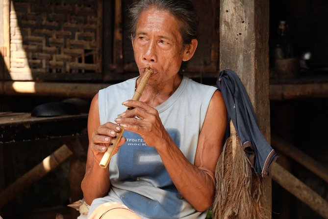 Ubud Cultural Day Tour: A Day for Balinese Cultural Experience - Sacred Monkey Forest Sanctuary: see conservation up close