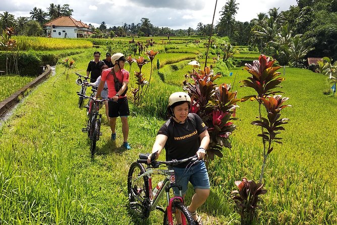 Ubud Cycling Tour - Lunch Is Included, Vegetarian Option Included