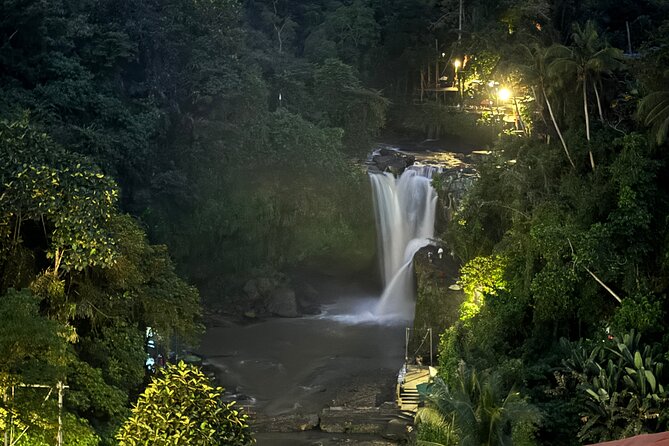 Ubud Day Tour with Private Car & Local Driver - Stop 2: Goa Gajah (Elephant Cave) for 9th-Century Intrigue