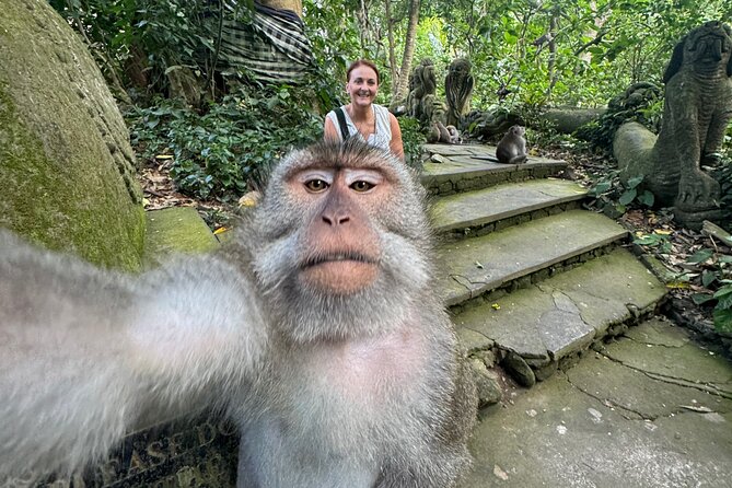Ubud Day Tour with Private Car & Local Driver - Where Monkey Forest and Batuan Temple Fit Into Your Day