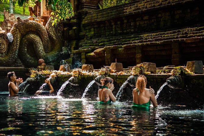 Ubud Experience | Full Day Private Tour in Ubud | FREE WIFI - Why this Ubud private day tour works so well