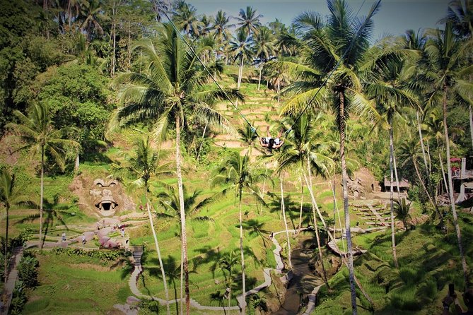 Ubud Experience | Full Day Private Tour in Ubud | FREE WIFI - Tegalalang Rice Terrace: what you’re seeing in the subak system