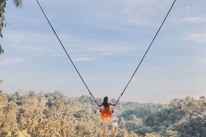 Ubud Full Day - Monkey Forest, Rice Terrace and Waterfalls Tour - Key reasons this Ubud day tour works