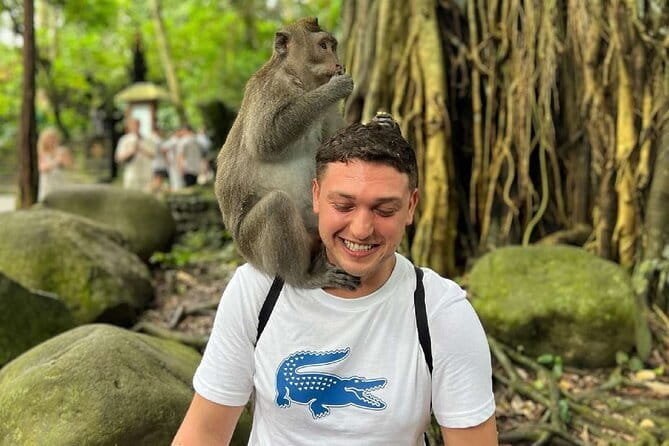 Ubud Full Day - Monkey Forest, Rice Terrace and Waterfalls Tour - A smooth door-to-door Ubud day from Seminyak