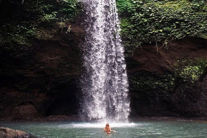 Ubud Full Day - Monkey Forest, Rice Terrace and Waterfalls Tour - The guide effect: Ariess, Gede, Made, Wayan, Jon, Kadek, Nyoman