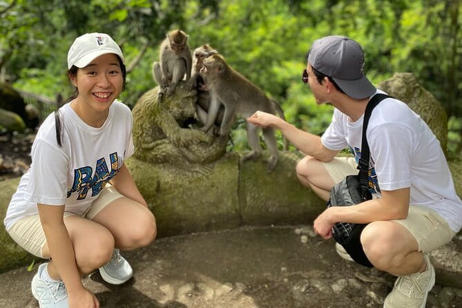 Ubud Full-Day Private Tour: Waterfall, Temple, Rice Terrace. - Getting Around Ubud in Comfort: Pickup and Air-Conditioned Transport
