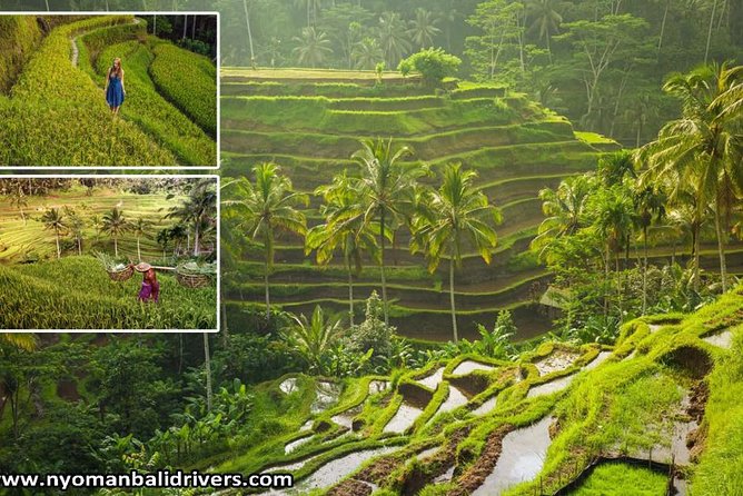 Ubud Full Day Tour - Key things that make this Ubud day tour special