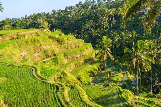 Ubud Full Day Tour Waterfall Monkey Forest Rice Terrace - Tegenungan Waterfall: one hour to see the cascades