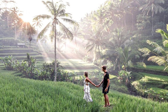 Ubud Full Day Tour Waterfall Monkey Forest Rice Terrace - Guides make the difference: Mr. Octa, Made Subrana, and Gede