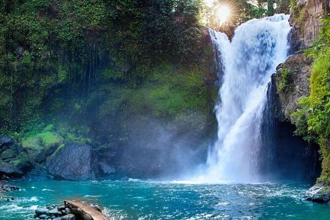 Ubud Full Day Tour Waterfall Monkey Forest Rice Terrace - Sacred Monkey Forest Sanctuary: 1 hour with long-tailed macaques