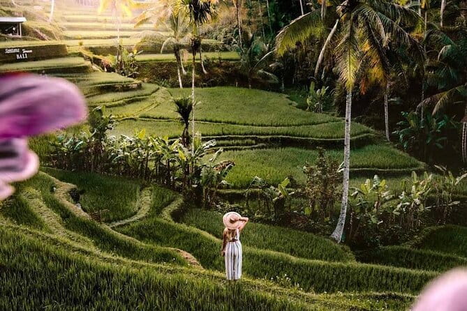 Ubud Highlights -Private Tour,Temples, Waterfalls & Rice terraces - Key highlights you’ll care about