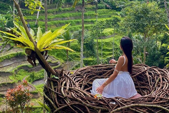 Ubud Highlights -Private Tour,Temples, Waterfalls & Rice terraces - From Seminyak to Ubud: heat management and real comfort