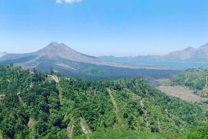Ubud Hot Springs and Waterfall Private Guided Tour - Tegalalang and Happy Swing Bali: rice terrace views with photo energy