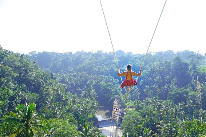 Ubud Jungle Swing, Temple & Waterfall Tour (Private Half Day Tour) - The in-between Bali moments: rice terrace, statue, market, and more