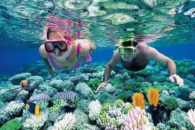 Ubud Kintamani Full Day Tour - OKA Agriculture Bali and luak coffee (35 minutes, admission included)