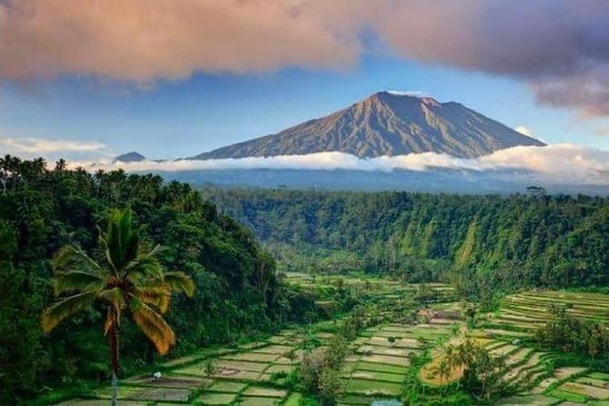 Ubud Kintamani Full Day Tour - Mount Batur viewpoint: classic volcano scenery, 1-hour visit