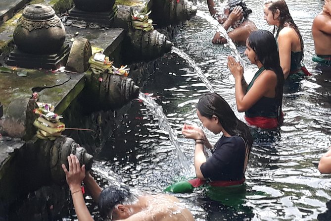 Ubud Natural Gems And Secret Waterfall Private Guided Tour - Happy Swing Bali: what the jungle swing is really for