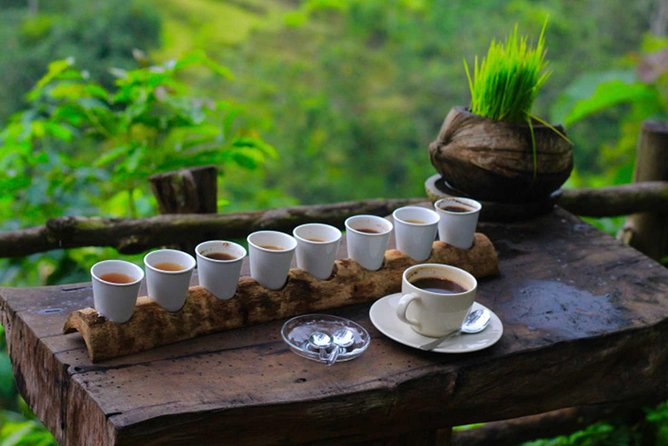 Ubud Private & Customize Day Tour - Tegallalang Rice Terrace: big views, smarter timing