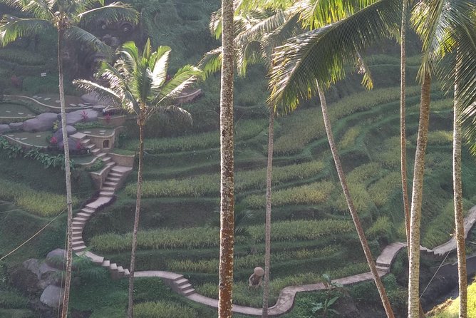 Ubud Private & Customize Day Tour - Ubud Town and the art market: shop with a mission