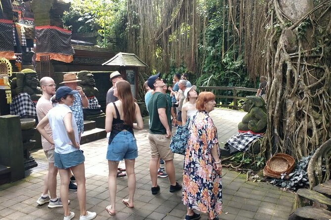 Ubud Private Tour - Pakudui Village and rice terraces: the Bali Aga flavor beyond the crowds