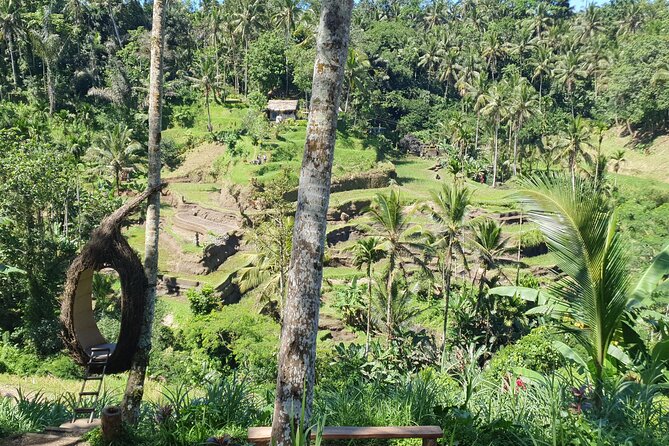 Ubud Private Tour - Tegenungan Waterfall: jungle time, water time, and why you should go prepared