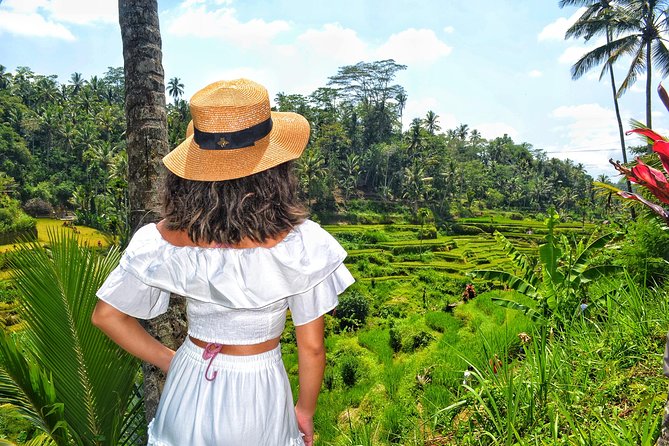 Ubud Private Tour : Choice Your Own Trip - Price and what you’re really buying for $35