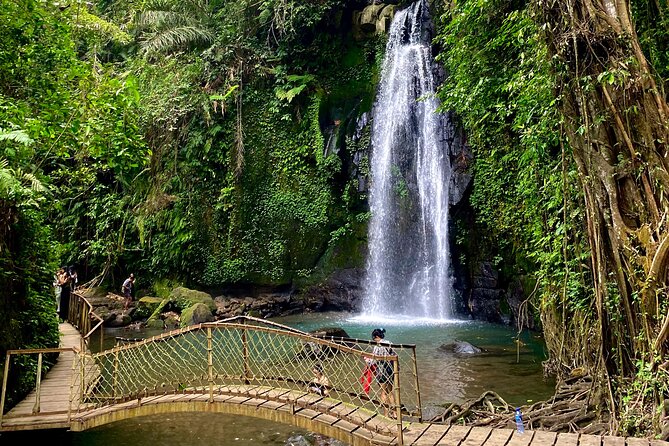 Ubud Private Tour: Monkey Forest, Rice Terrace, Temple, Waterfall - Tegalalang rice terraces: working farmland and photo-ready viewpoints