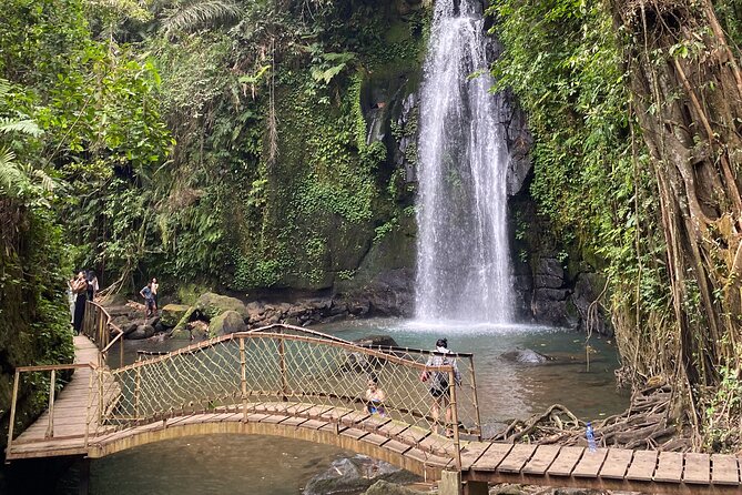 Ubud Private Tour: Monkey Forest, Rice Terrace, Temple, Waterfall - Ulu Petanu Waterfall: when you want a real swim break