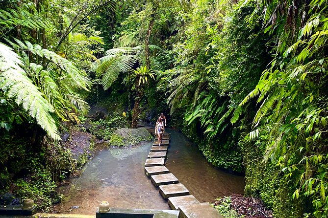 Ubud Private Tour: Monkey Forest, Rice Terrace, Temple, Waterfall - Tirta Empul Temple: holy spring water and wish-making