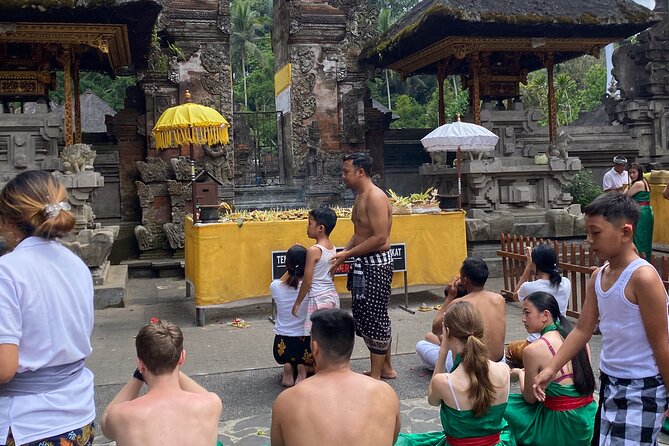 Ubud Private Tour: Monkey Forest, Rice Terrace, Temple, Waterfall - Price and entry fees: getting $27 to actually feel like value