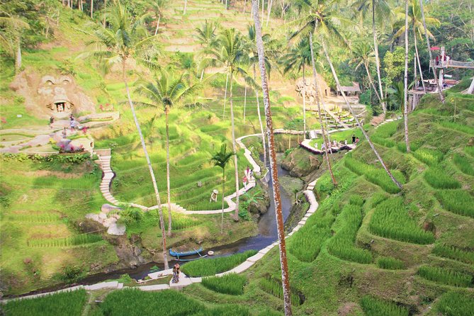 Ubud Private Tour : Ubud Temple and Authentic of Ubud - Tegalalang Rice Terraces: subak irrigation and view-time that feels calm