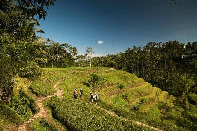Ubud Rafting - Rice Terrace - Tegenungan Waterfall - Tanah Lot Sunset Temple - Tegalalang Rice Terrace: The Famous View, With Photo Savvy