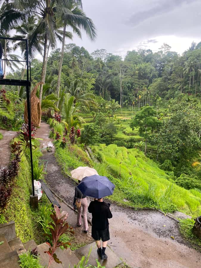 Ubud: Rice Terrace, Monkey Forest, Temple, & Waterfall - The vibe: a classic Ubud checklist, but paced like a human