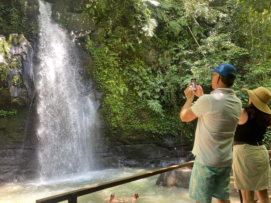 Ubud: Rice Terrace, Monkey Forest, Temple, & Waterfall - Monkey Forest sanctuary: how to enjoy the chaos