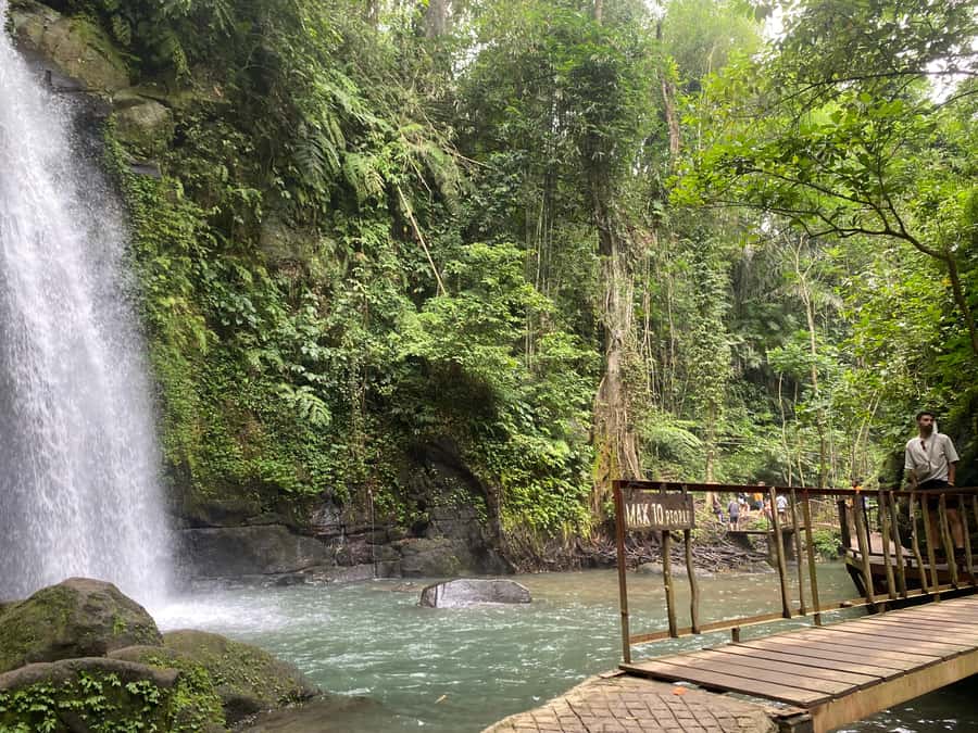 Ubud: Rice Terrace, Monkey Forest, Temple, & Waterfall - Tegalalang rice terraces: the countryside walk you’ll remember